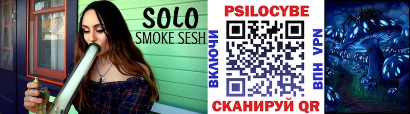 продажа наркотиков  Воронеж  Галлюциногенные грибы Psilocybine cubensis 