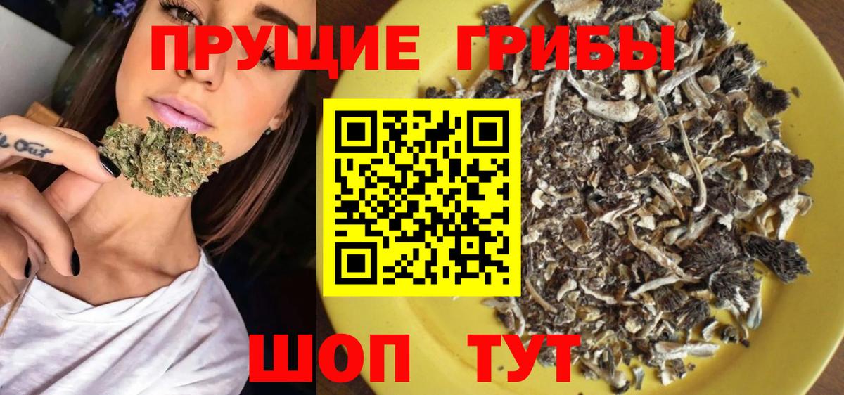 Псилоцибиновые грибы Psilocybine cubensis  Галлюциногенные грибы ЛСД  Вход с VPN  Воронеж 
